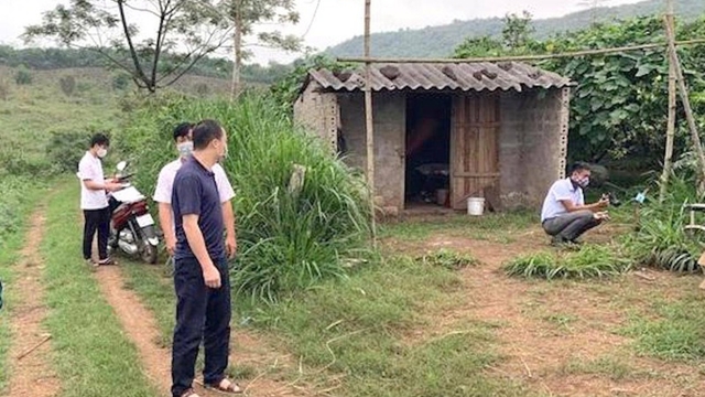 Bị đánh đập, bắt cóc, tống tiền cả trăm triệu đồng vì chơi cờ bạc bịp