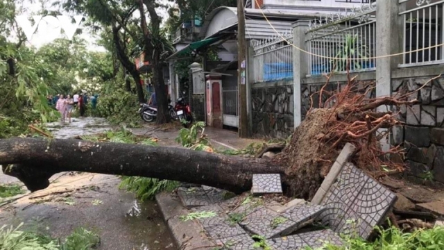 Storm Noul makes landfall, 1 dies, dozens injured