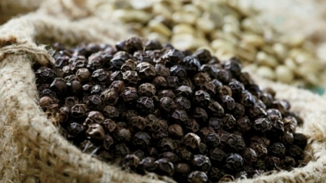 Pepper exports enjoy bounce back