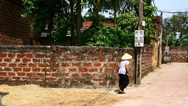 Chỉ tại cái hàng rào…