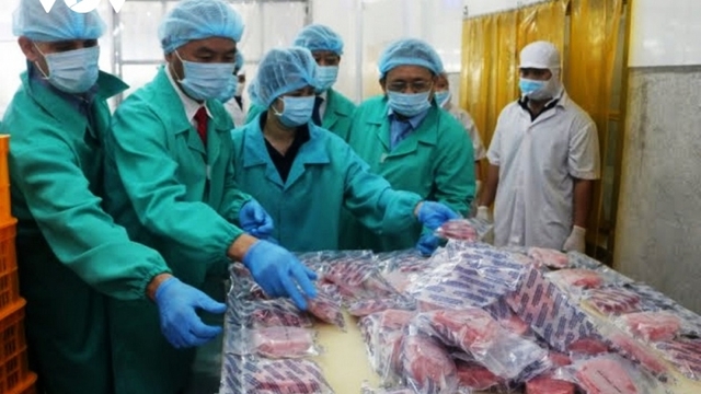 Vietnamese tuna exports to EU record impressive growth