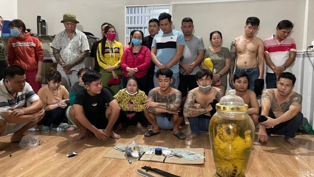 Phát hiện hổ ngâm nguyên con trong sới bạc vừa bị triệt phá