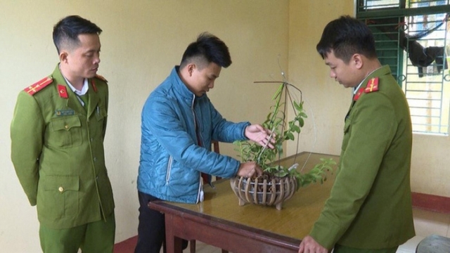 Bắt 3 đối tượng lừa bán lan đột biến, chiếm đoạt hơn 1 tỷ đồng
