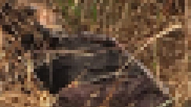 Phát hiện thi thể đàn ông đang phân hủy ở Bình Phước