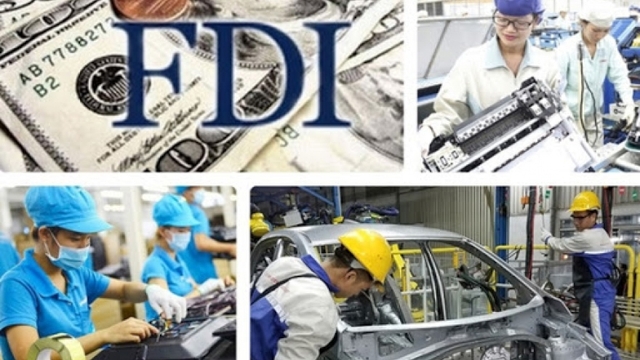 Tax evasion questions raised as 55% of FDI enterprises report losses