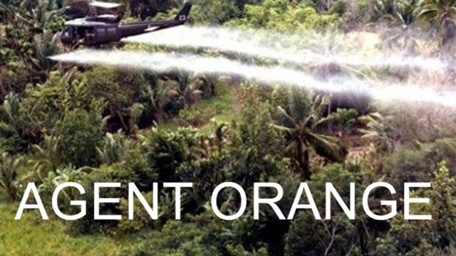 German newspaper highlights AO impact on generations of Vietnamese