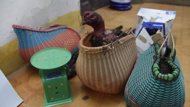 Lợi dụng cận Tết Nguyên đán, 50 đối tượng chơi “đá gà” ăn tiền