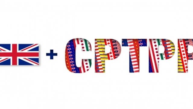 Vietnam willing to share CPTPP information, experience with UK: Spokesperson