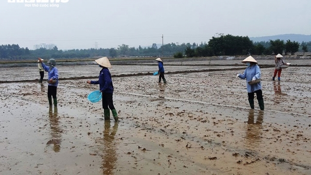 Tình làng, nghĩa xóm trong tâm dịch Chí Linh