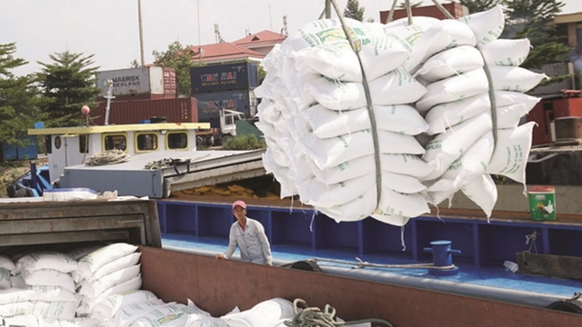 Rice export price exceeds US$550 million per tonne