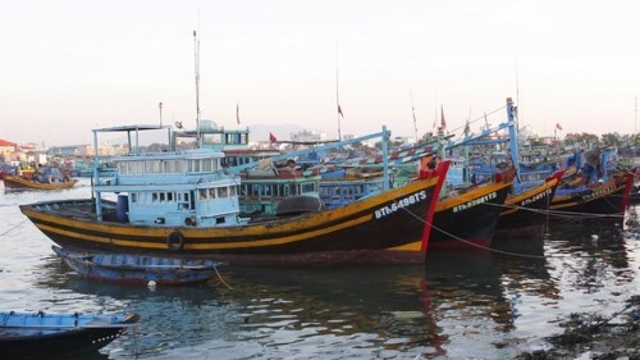 Binh Thuan working to tackle IUU fishing