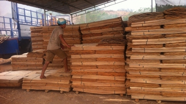 Lo ngại "chảy máu" nguyên liệu ván bóc sang thị trường Trung Quốc