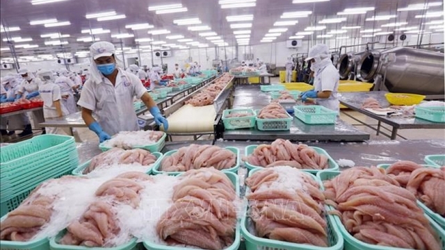 ADB đánh giá kinh tế Việt Nam tăng trưởng mạnh nhờ kiểm soát thành công Covid-19