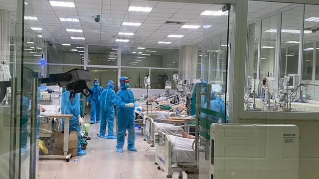 Việt Nam sử dụng thuốc xuyên tâm liên điều trị bệnh nhân COVID-19