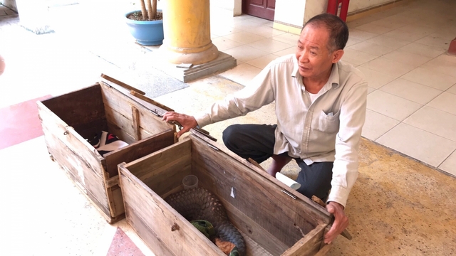Bắt quả tang đối tượng vận chuyển 2 cá thể tê tê sống