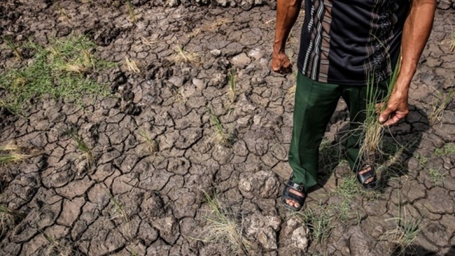 Training course raises awareness of climate change in coastal areas