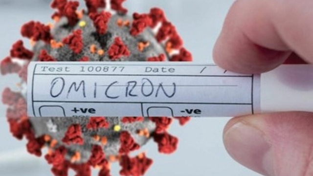 14 more Omicron cases detected in Vietnam