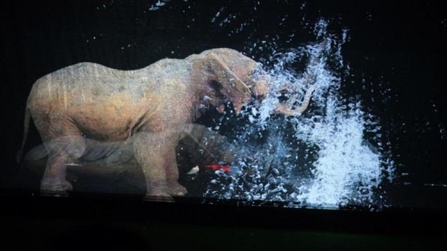 First Vietnamese circus makes use of holograms instead of live animals debuts