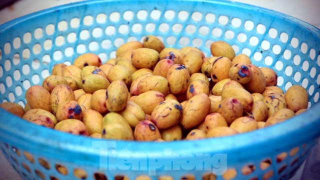 Cọ rừng vào mùa thu hoạch, người dân kiếm hàng chục triệu đồng
