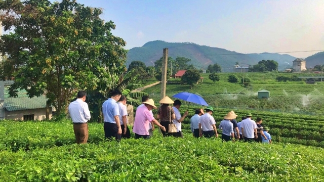 Du lịch Thái Nguyên nỗ lực cho “mục tiêu kép”