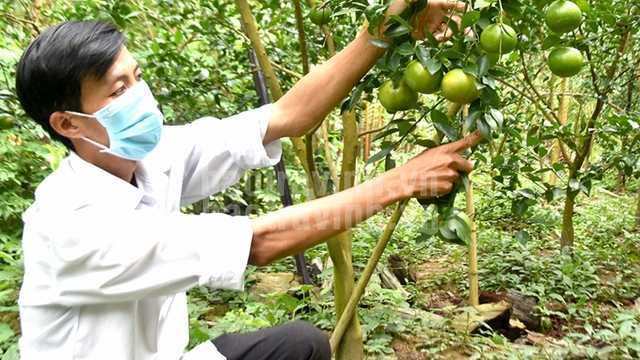 Vận động hội viên vào kinh tế tập thể