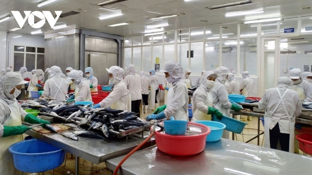 Seafood enterprises advised to fully tap into Russian market