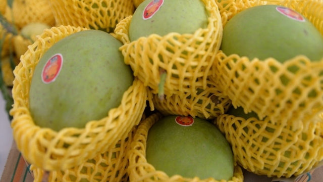 Vietnamese mango export volume set to double by 2030