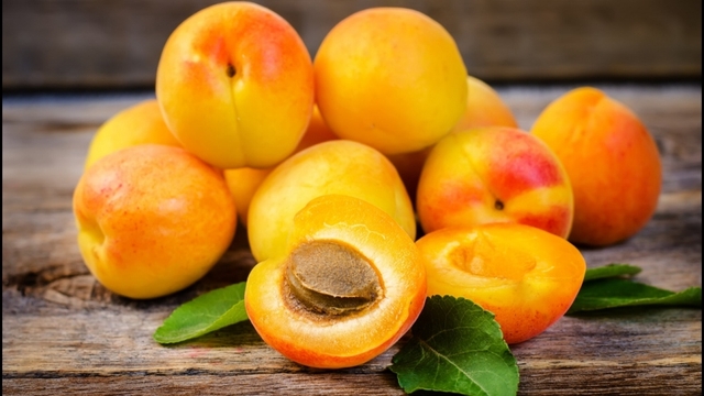 Mơ chùa Hương vào mùa, về Hà Nội bao nhiêu hết bấy nhiêu