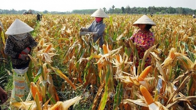 Ten million more people benefit from new poverty reduction policies