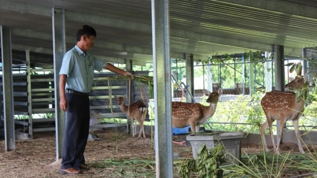 Cựu chiến binh “đãi vàng” trên vùng đất nắng gió
