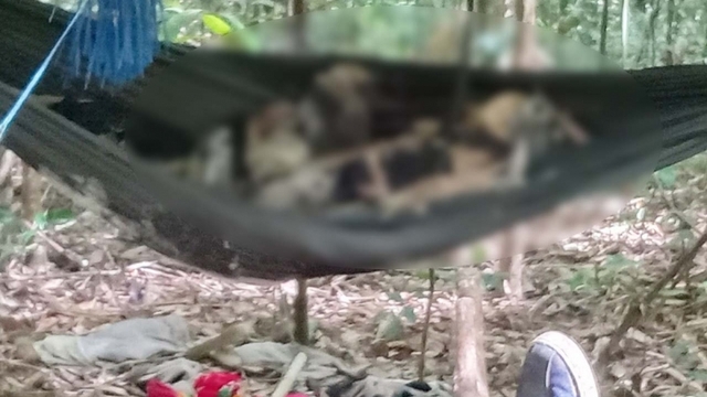 Hai bộ xương khô trên võng trong rừng ở Gia Lai được chôn cất ở đâu?