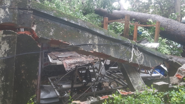 Những siêu bão từng đổ bộ vào Việt Nam