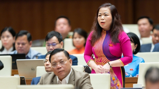 “Tư duy nhiệm kỳ gây lãng phí đất đai”