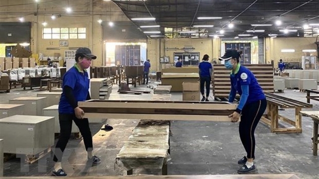 Forum discusses promotion of legal, sustainable timber value chains