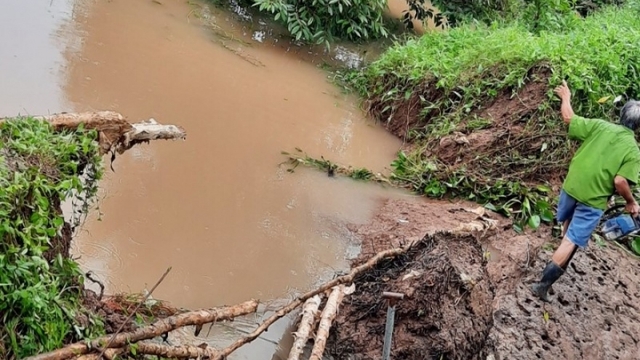 Bến Tre khắc phục xong điểm sạt lở do triều cường tràn ngập vườn cây