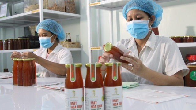 Doanh nghiệp khởi nghiệp xanh, khó nhưng nhiều cơ hội