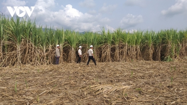 Nút thắt tiếp cận đất đai chưa được "gỡ" thì khó đẩy mạnh liên kết vùng