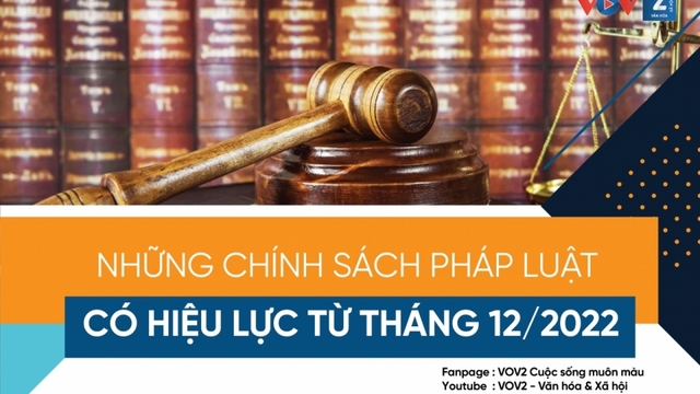 Những chính sách pháp luật có hiệu từ tháng 12/2022