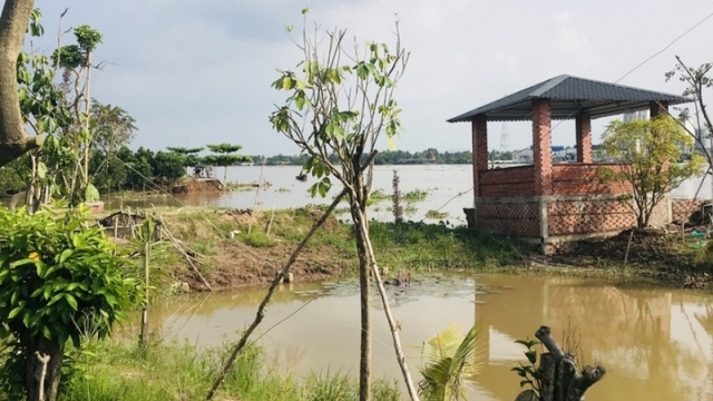 Khẩn trương khắc phục sạt lở ”hàm ếch” tại cồn Phú Đa, Bến Tre