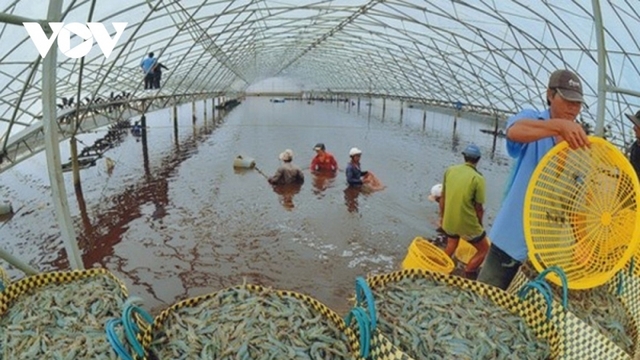 Nga nhập khẩu thủy sản của 7 doanh nghiệp Việt Nam