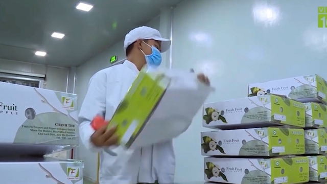 Xuất khẩu nông sản bền vững từ con đường chính ngạch