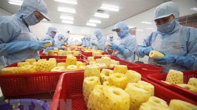 Hàng hóa Việt Nam xâm nhập mạnh hơn vào thị trường Liên minh châu Âu
