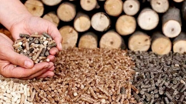 Bright future for wood pellet exports: experts