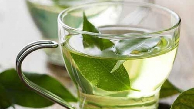Ai không nên uống nước lá vối?