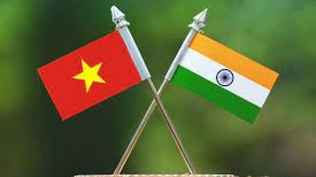 Vietnam attends 28th Partnership Summit in India