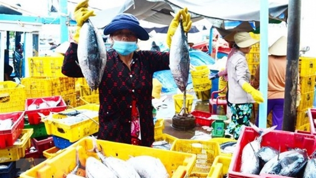 Tuna exporters aiming for smaller markets