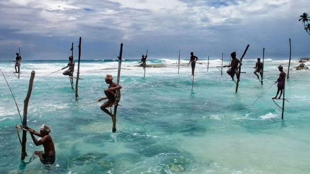 Sri Lanka promotes tourism potential in Vietnam