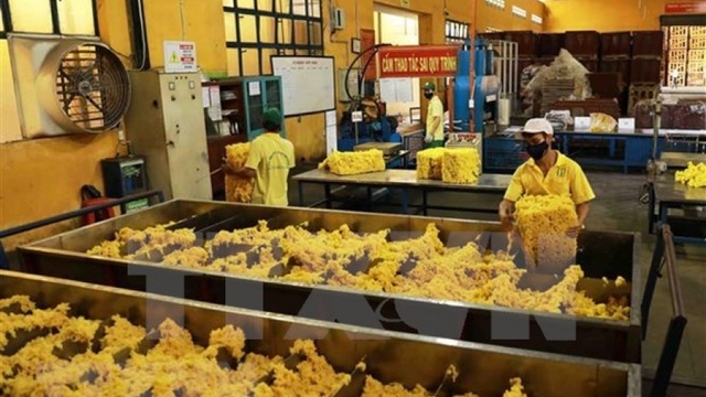 More German rubber firms wish to expand business cooperation in Vietnam