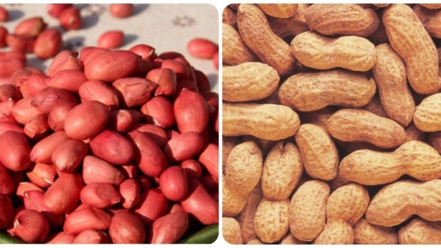 Loại hạt vừa rẻ lại bổ dưỡng, được mệnh danh là "hạt trường sinh"