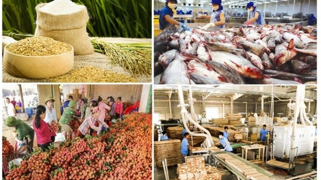 Agro-forestry-aquatic product exports post trade surplus of nearly US$6 billion